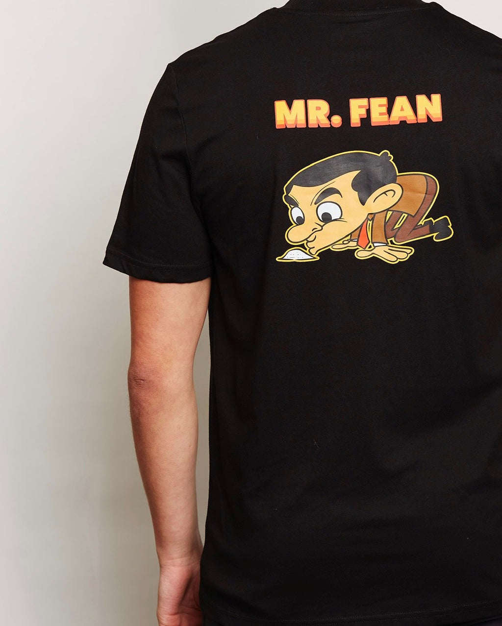 Mr. Fean