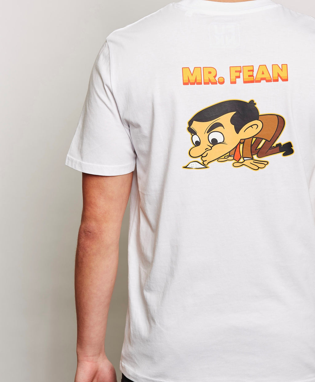 Mr. Fean